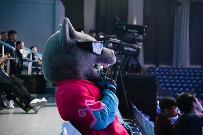 Wolf mascot in glasses on stand near camera